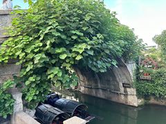 -绍兴书圣故里景区