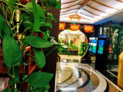 -汤泉良子.足疗按摩.SPA(中关村店)