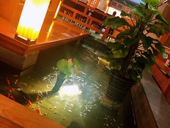-松子料理(亮马桥店)