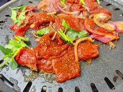 -燚店·铁板鱼蛙·烤肉·烤串(北新桥店)