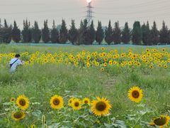 -汉长安城未央宫国家考古遗址公园