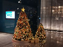 -博林天瑞喜来登酒店·西丽尚膳