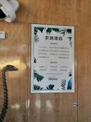 点击看大图 -小蜜蜂农场(凯德七宝购物广场店)