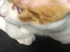 -艾贝尔宠物医院 ·中兽医·宠保定点(北门桥店)