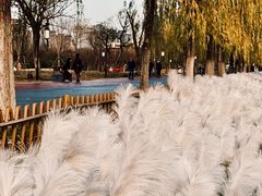 -咸阳湖景区