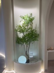 -VE专注问题肌·赛诺龙&科学美肤中心