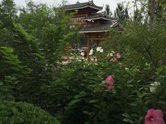 -武清南湖绿博园