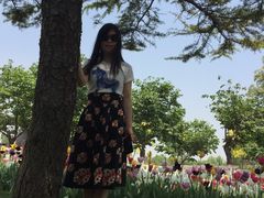 -石家庄市植物园