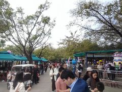-盈香心动乐园