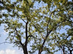 -元大都城垣遗址公园