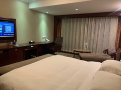 -圣爵菲斯大酒店(长沙世界之窗店)