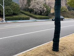 -雀掌柜24H自助棋牌(国金中心店)