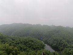 -沐川竹海旅游景区