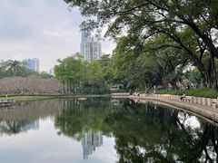 -晓港公园