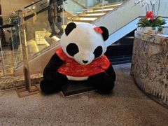 -成都保利公园皇冠假日酒店(熊猫基地店)