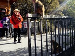 -稻城亚丁风景区-电瓶观光车售票处