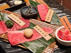 -老乾杯(深圳湾万象城店)