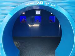 -青岛海底世界-水族馆