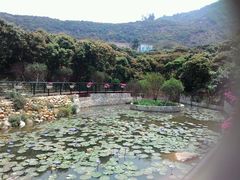 android_upload_pic-月亮湾公园