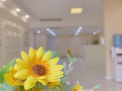 -韩国淼美颜皮肤管理官方直营店