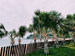 -大梅沙海滨公园