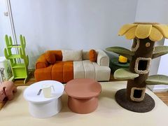 -青奢宠物·青奢猫舍