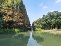 -乌镇东栅景区