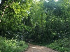 -青龙山国家森林公园