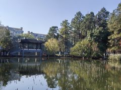 -范蠡湖公园