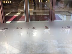 -百富怡大酒店