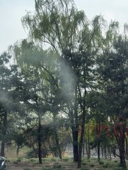 -爱儿美儿童摄影(奥森公园店)