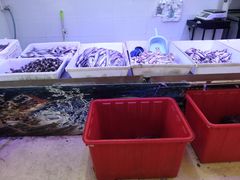 -聚家乐生鲜超市(枫林路店)