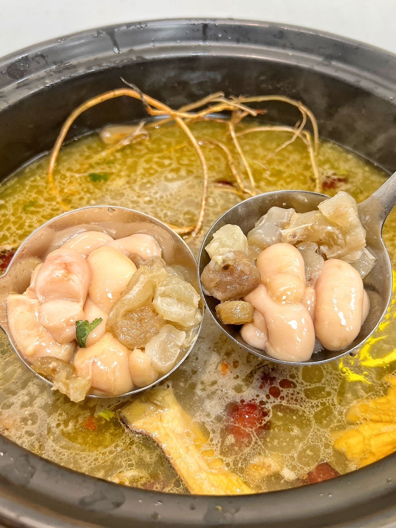 牛鞭煲开到来西华路了,下班果断和男朋友来吃 
五指毛桃牛大力汤