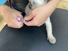 -美联众合动物医院·24h京西诊疗中心
