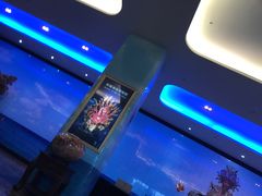 -绮丽珊瑚博物馆(台东店)