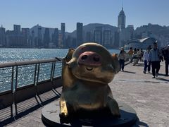 -星光大道