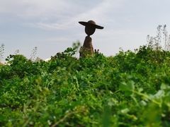 -嘉北郊野公园