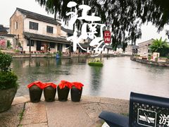 -鲁镇