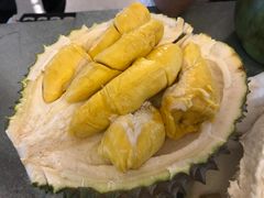 -都念榴莲·城市榴莲