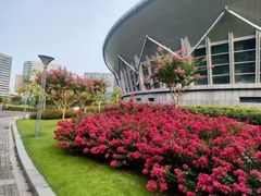 -杭州城北体育公园