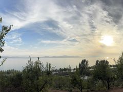 -金台阶鱼馆(于桥水库店)