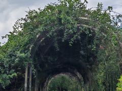 -人民公园(罗湖区)