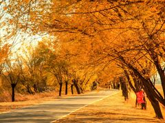 -野鸭湖国家湿地公园