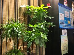 -满来寿喜烧(金虹桥店)