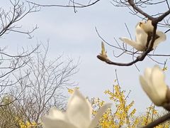 -江苏三台山国家森林公园