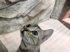 -顺德南宏海立方海洋公园
