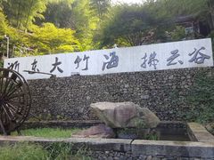 -宁波浙东大竹海景区