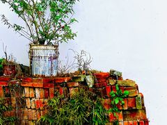 -乌镇景区