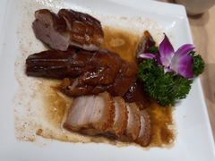 -锦粤宫·精致粤菜(深圳北站店)