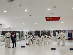 -极真空手道修远道场